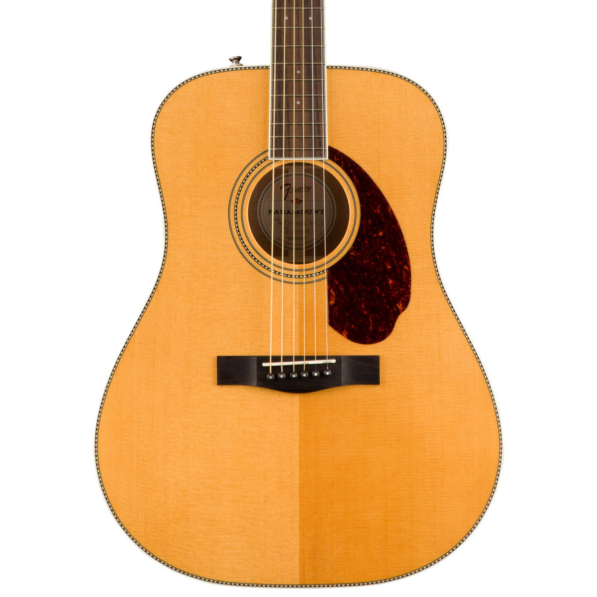 Fender Acoustic Guitars - PM-1 Standard Dreadnought (Default)