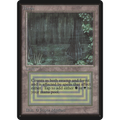 Bayou [Limited Edition Beta] (Near Mint)