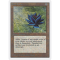 Black Lotus [Unlimited Edition] (Moderately Played)