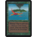 Birds of Paradise [Limited Edition Alpha] (Near Mint)