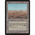 Scrubland [Limited Edition Beta] (Near Mint)