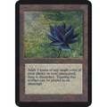 Black Lotus [Limited Edition Alpha] (Heavily Played)