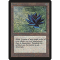 Black Lotus [Limited Edition Beta] (Moderately Played)